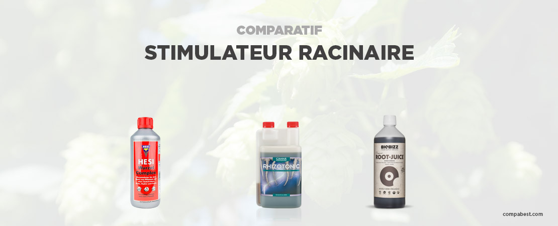           Meilleur stimulateur racinaire          