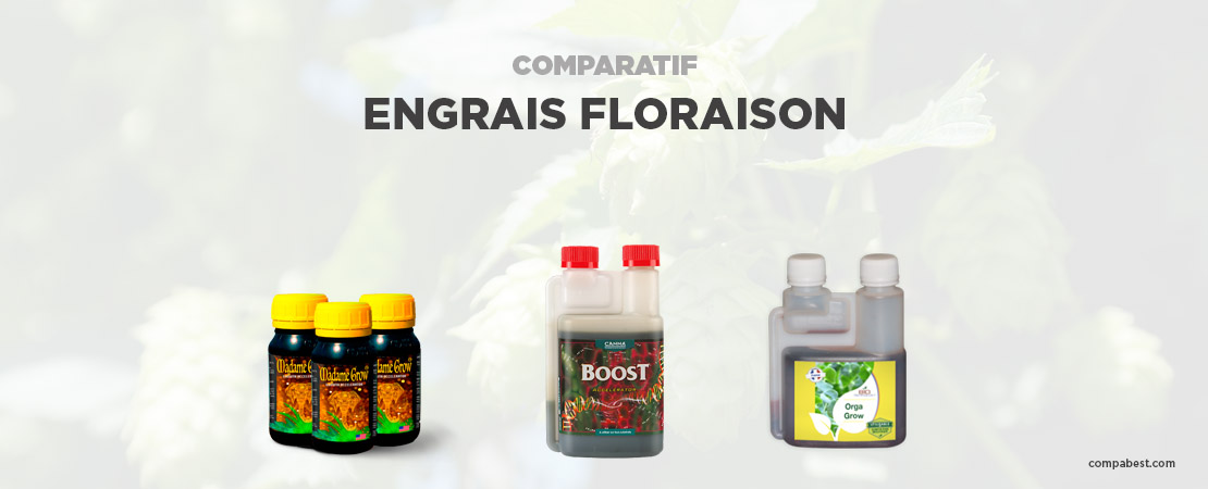 Meilleur Engrais Floraison