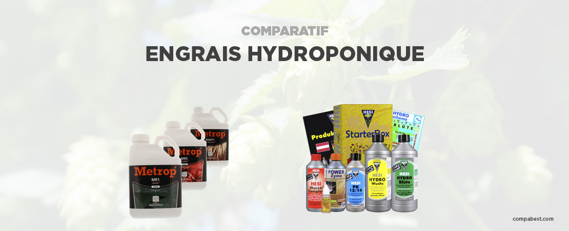           Meilleur Engrais Hydroponique          