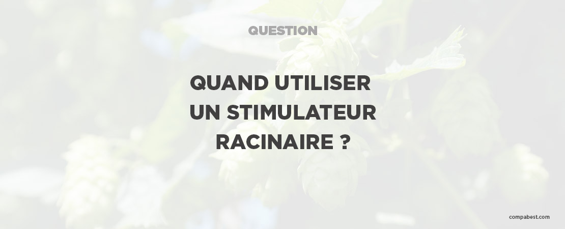 Quand utiliser un stimulateur racinaire ?