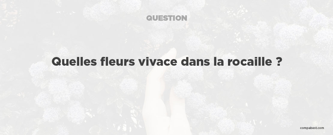           Quelles fleurs planter dans les rocailles ?          